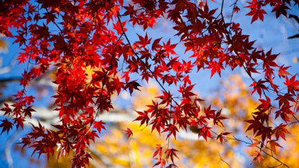 Do konce října bude proměnlivé počasí. Mráz a sníh v nedohlednu