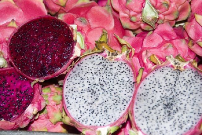 Podzimní kurz zdraví a exotiky: V hlavní roli lahodná pitaya neboli ovoce draků