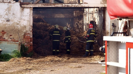 Při požáru stodoly na Bruntálsku uhořely ovce