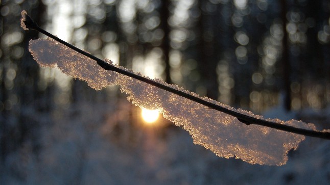 První lednový víkend. Jak moc nám bude zima?
