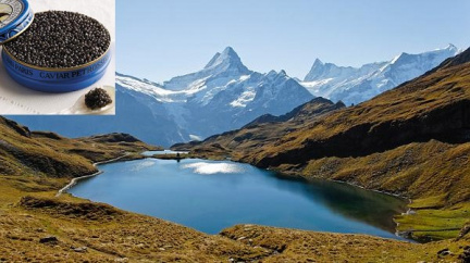 Švýcaři mají vlastní kaviár. Díky teplé vodě z Alp