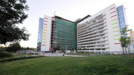 Nemocnice Motol boduje: 199 transplantací plic za 15 let