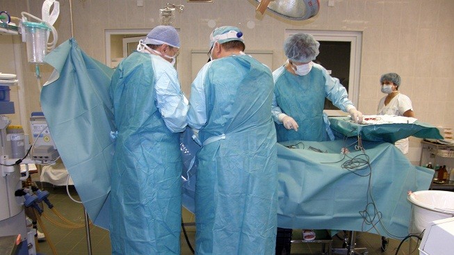 Češi budou moci přijímat orgány k transplantaci i od zemřelých cizinců