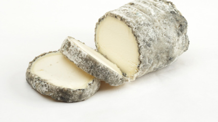 Archeologové našli nejstarší sýr na světě