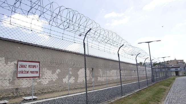 ČSSD neprosadilo odmítnutí amnestie