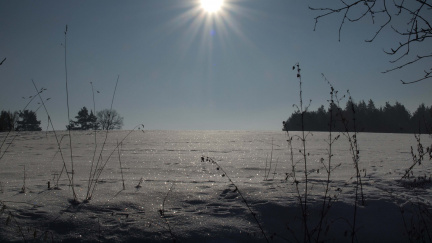 Miloš Zeman ukončil odpočinek na Vysočině a odjel do Prahy