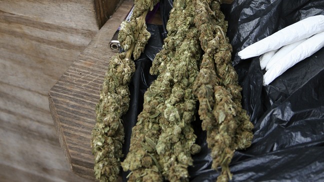 Němci odmítají legalizaci marihuany pro osobní účely