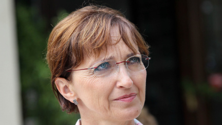 Nový ministr kultury místo unylé Hanákové? TOP 09 namlouvá Mathého