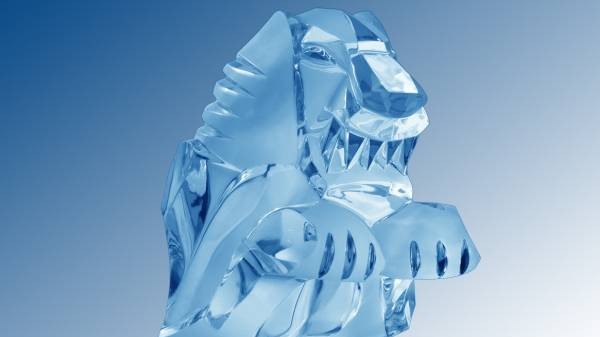 Nejlepší dokumenty z Českého lva jsou volně ke zhlédnutí. Podívejte se