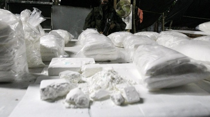 Aktualizováno: Úlovek pražských celníků na letišti: Drogy za 60 milionů!