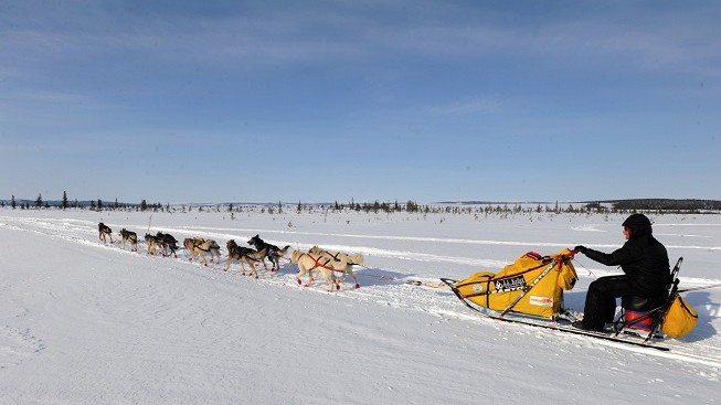 1600 km za devět dní! Slavný závod psích spřežení má nejstaršího vítěze