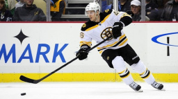 Krejčí byl u dvou gólů Bostonu, Pittsburgh s Vokounem poprvé neuspěl