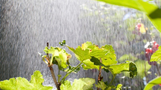 O víkendu přestane pršet. Začátek týdne bude teplotně příjemný