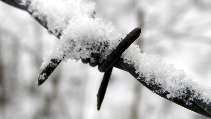 Na Šumavě padaly teplotní rekordy. Na Kvildě bylo 19,1 pod nulou