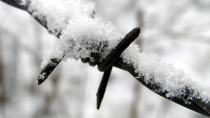 Na Šumavě padaly teplotní rekordy. Na Kvildě bylo 19,1 pod nulou