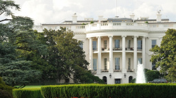 Microsoft a Google chtějí žalovat vládu USA kvůli sledování webu