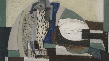 Konec sporu. Rakouský soud zastavil řízení kvůli Diag Human