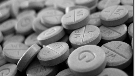 Pražský magistrát začne s deratizaci území v okolí potoku Botiče