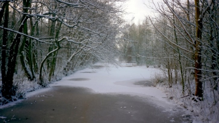 V ČR v noci sněžilo a silnice místy namrzají, ale jsou sjízdné