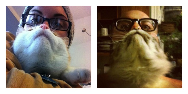 Kočičí brada! Rozkošný fenomén, který ovládl internet