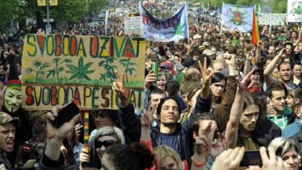 Mladí Češi se drží na předních příčkách v užívání marihuany v Evropské unii