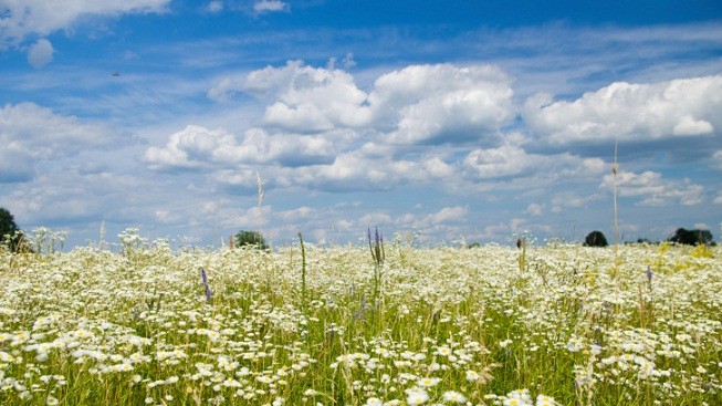 Jaký bude první červnový víkend?