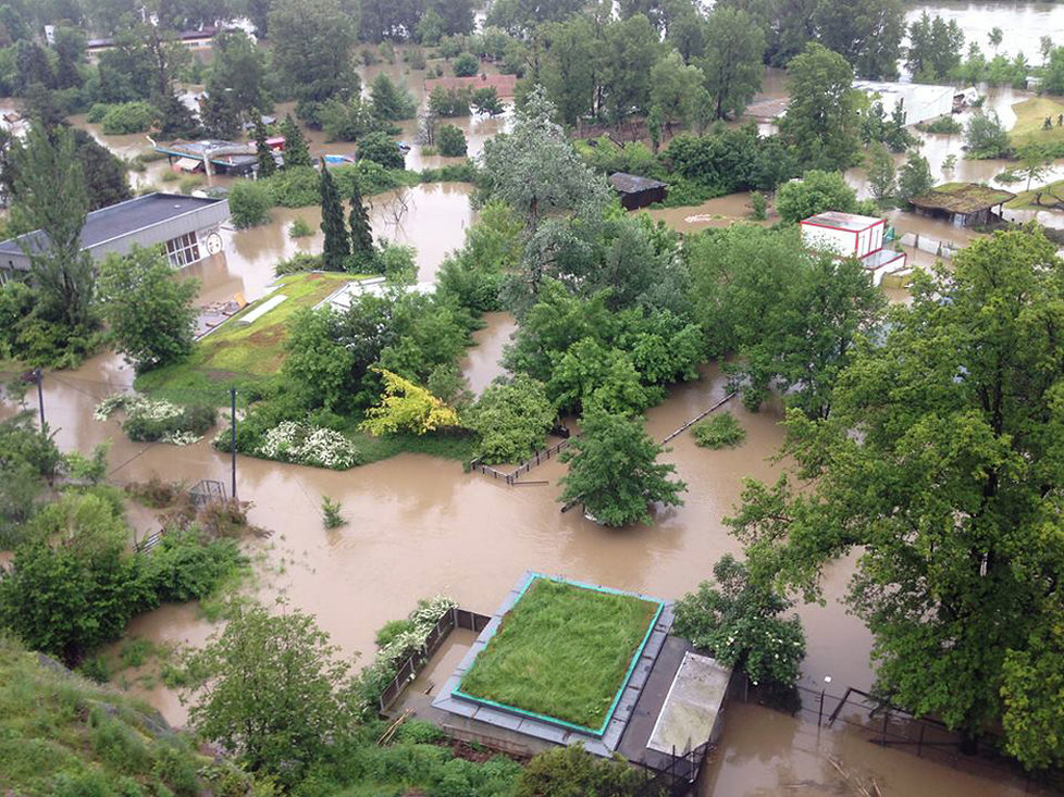 Záplavy zasáhly i pražskou ZOO: Dramatická záchrana vzácných zvířat