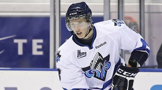 V zámořské NHL je na řadě draft. Čeští hokejisté letos vysoko nefigurují