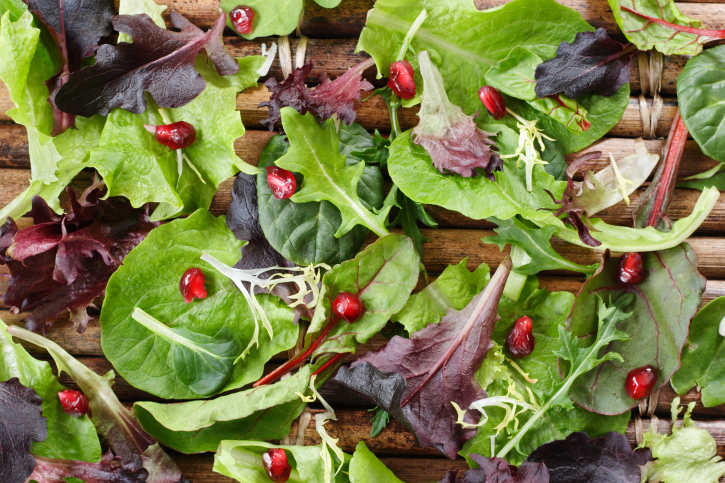 Není salát jako salát aneb přehlídka druhů listových salátů
