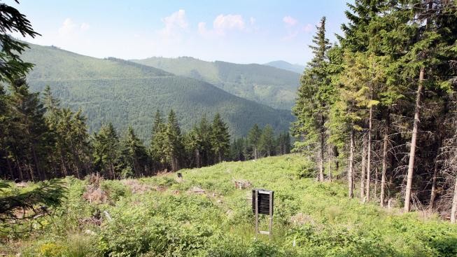 Šumavský park dokončil stavbu další části cyklomagistrály