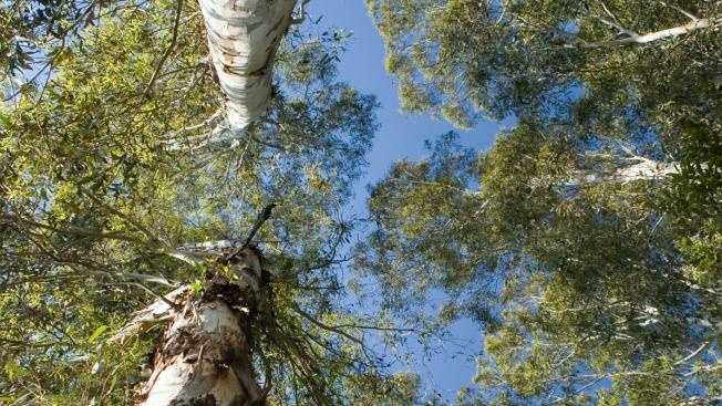 Další obří státní firma čelí trestnímu oznámení kvůli IT zakázkám