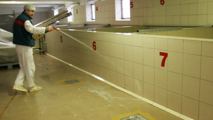 Ostuda pro olomoucké tvarůžky - byly plesnivé. Firma dezinfikovala výrobu