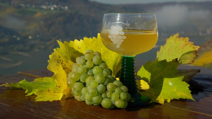 Sezona burčáku je tady! Jak poznáte, že pijete kvalitní kousek?