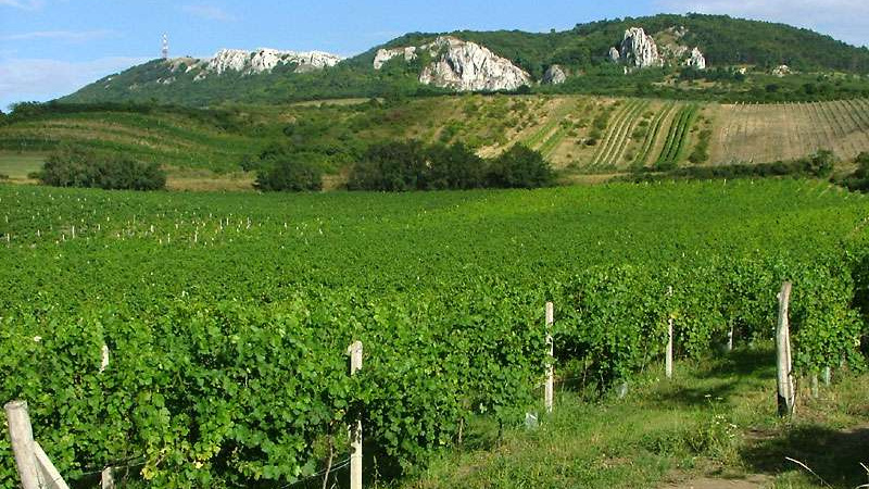 Pálava leží v srdci přírodního bohatství jižní Moravy