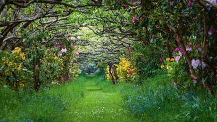 Zahrada, oáza klidu. Hoďte alespoň na chvíli starosti za hlavu!