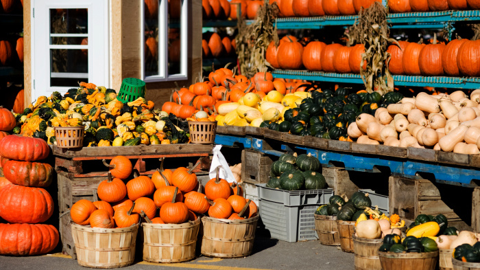 Zatočte s podzimní únavou a vyražte za rozptýlením na jarmark!