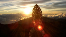 Když vychází slunce. Jedny z nejkrásnějších pohledů na začátku dne