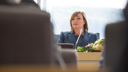 Zemanová založila nadaci na pomoc týraným dětem