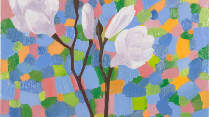 Krása, radost, napětí aneb třetí aukce pro Cestu domů