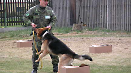 Vojenský pes Athos dostal vyznamenání od ministra obrany