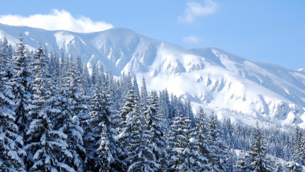 Ani velké, ani malé, ani blízké, ani daleké