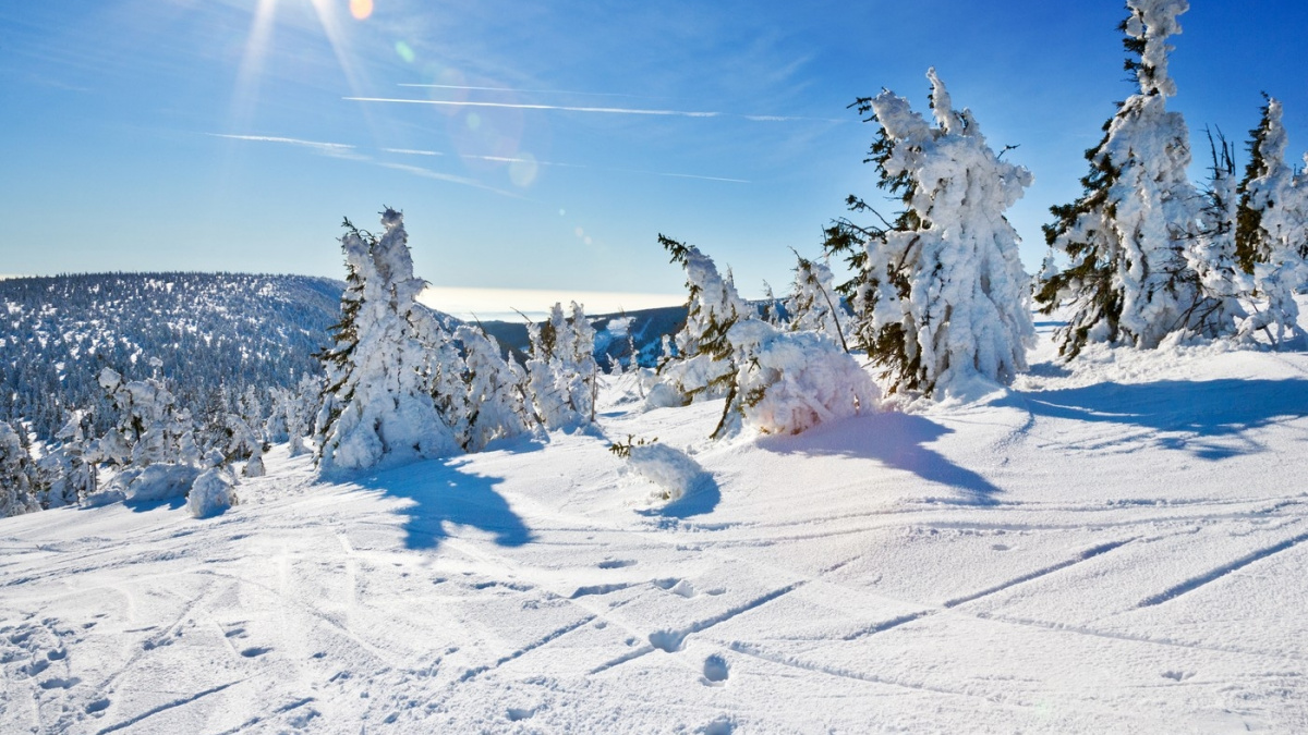 Čerstvě zasněžené svahy zalité sluncem