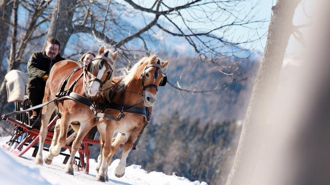 Vyjížďka na saních tažených koněm(c) Mostviertel Tourismus_weinfranz