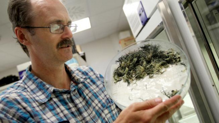 Výzkum českých biologů na Antarktidě se zdařil, prozkoumali 7300 parazitů