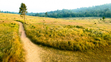 Peníze z povolenek zřejmě půjdou jen na kompenzace následků změn klimatu