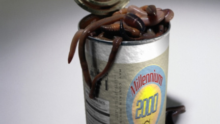 Nejnechutnější jídla na světě aneb co všechno je schopen člověk sníst