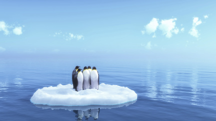 Na Antarktidě bylo teplo a dalo se tam koupat. Téměř jako ve Španělsku