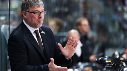 Německá hokejová reprezentace pro MS 2014