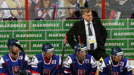 Slovenská hokejová reprezentace pro MS 2014