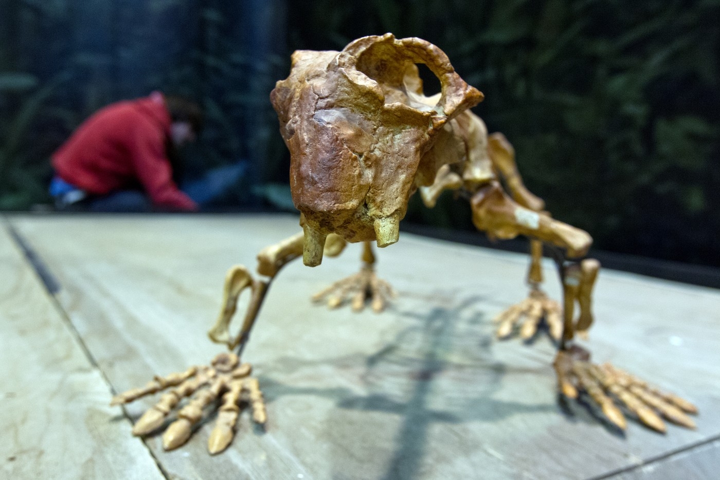 Dinosauři vyhynuli, protože měli smůlu
